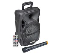 Karma Altavoz Reforzado con micrófono inalámbrico 300 W PMPO