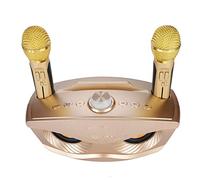 Altavoz Bluetooth Home KTV Karaoke Altavoz Bluetooth con Dos Micrófonos Karaoke para TV Hogar Profesional Inalámbrico DE Karaoke Compacto Este Bluetooth K (Oro)