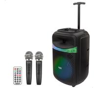 Altavoz inalámbrico maleta y 2 micrófonos Bontempi