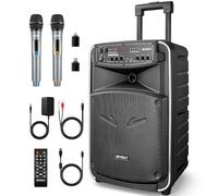 Altavoz PA portatil 12" con 2 microfono inalambrico, Potentes Altavoces Karaoke Bluetooth Profesionales con Trolley para Adultos y niños Grabación DSP/Radio FM/USB-C/TWS/TV GTSK12-2