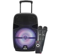 Altavoz Portátil A340 de 8 y 250 W con Bluetooth USB y FM y dos micrófonos (negro) - COOLSOUND
