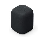 Altavoz Sony SRS-LS1H LinkBuds Speaker | Portátil Bluetooth Negro