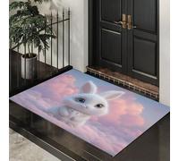ALTCIRNMD Alfombra Blanco Rosado Conejo del Cielo 40X60Cm Pies para Entrada Suave Lavable Animales Fantásticos para Cocina Antideslizante De Pelo Bajo Plegable para Puerta Delantera Salón