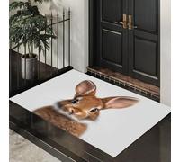 ALTCIRNMD Felpudo Entrada Casa 70X100Cm,Antideslizante Y Lavable,Alfombra De Entrada Interior con Lindo Conejito,Tapete De Estilo Fotográfico Realista Marrón
