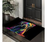 ALTCIRNMD Felpudo Perro Salpicado De Tinta Estilo Fluido Abstracto,Antideslizante,Estera Rectangular Lavable A Máquina De Poliéster para Entrada,Cocina,Dormitorio,Baño,Decoración del Hogar,60X90Cm