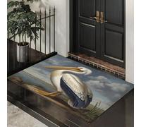 ALTCIRNMD Tapete Blanco Pelícano Blanco De Roca Puerta Felpudo De Entrada Exterior Atrapar Suciedad Alfombra Pintura Retro para Interior Jardines Cocina Pasillo Trasera Delantera,70X100Cm