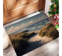 ALTCIRNMD Tapete Marrón Sendero De Dunas De Arena Puerta Felpudo De Entrada Exterior Atrapar Suciedad Alfombra Paisaje Natural para Interior Jardines Cocina Pasillo Trasera Delantera, 60X90Cm