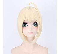 Alter Saber Wig Fate Grand Order Cosplay peluca sintética resistente al calor pelo sable PL-013-2