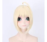 Alter Saber Wig Fate Grand Order Cosplay peluca sintética resistente al calor pelo sable PL-013-2