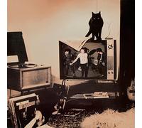 Alternative Tv - How Much Longer [Vinilo]