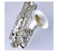 Alto EB Tune Saxophone Latón Plateado Sax E Sax E Instrumento Musical Plano Con La Boquilla De La Caja De Nylon