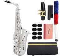 Alto Saxofón Plateado E-plana Con La Boquilla De La Caja Reeds Cuello Instrumento Viento
