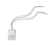 Altoparlante Fantasma Urlante - Altoparlante Ad Attivazione Vocale, Di Halloween Che Urla Il Fantasma Ad Attivazione Vocale | Strumenti Spaventosi Multifunzionali Di Halloween, Oggetti Di Scena