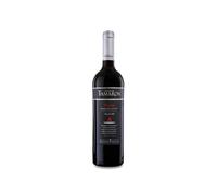 Altos de Tamarón Reserva 2021