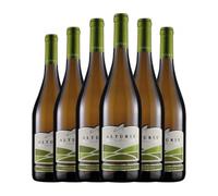 Alturis Sauvignon Montepulciano d'Abruzzo 75 cl Vino blanco (Caja de 6 Botellas de 75 cl)