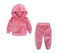 Alunsito Conjuntos de sudadera con capucha para bebé, Top con capucha de manga larga de terciopelo para niño y niña y pantalones largos, chándal de otoño de 2 uds, ropa B-Pink 120 3-4 años