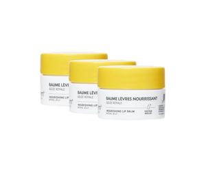 Alvadiem | Bálsamo Labial Nutritivo Y Reparador Para Labios Secos Y Dañados | Calma, Repara Y Protege Contra La Sequedad | Jalea Real Orgánica, Cera De Abeja, Aceite De Coco | Pack De 3 x 10 ML