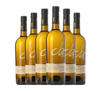 Alvear Fino C.B. Pedro Ximénez Montilla-Moriles 75 cl Vino generoso (Caja de 6 Botellas de 75 cl)