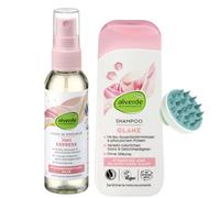 Alverde Juego de 2 - Leave-In Spray Tratamiento Express 7 en 1 (75 ml) + champú brillo con agua de pétalos de rosa y proteína vegetal (200 ml) + cepillo de masaje para cuero cabelludo