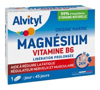 Alvityl Magnesio Vitamina B6 45 comp