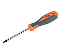 Alyco Orange (HR) - Destornillador Torx T40x125 mm - 170445