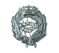 Alylosilver Insignia Profesional de Biología Pin para Hombre Mujer en Plata 925 con Caja para Regalo