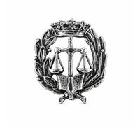 Alylosilver Insignia Profesional de Derecho Pin para Hombre Mujer en Plata 925 con Caja para Regalo