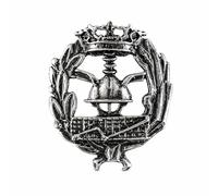 Alylosilver Insignia Profesional de Empresariales Pin para Hombre Mujer en Plata 925 con Caja para Regalo