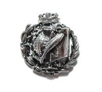 Alylosilver Insignia Profesional de Geografía e Historia Pin para Hombre Mujer en Plata 925 con Caja para Regalo