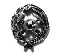 Alylosilver Insignia Profesional de Geologia Pin Para Hombre Mujer en Plata 925 con Caja para Regalo.