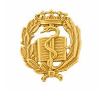 Alylosilver Insignia Profesional de Medicina Pin para Hombre Mujer en Plata 925 Chapado en Oro con Caja para Regalo