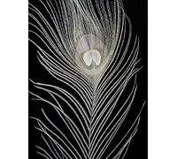 Alyson Fennell Blanco Lienzo de 60 x 80 cm de Plumas de Pavo Real, Multicolor