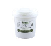 AMA AJO EN POLVO AJO EN POLVO (1 KG)