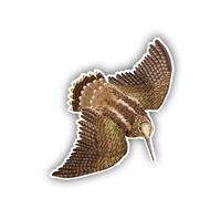 AMA SHOP Adhesivo contorneado con diseño de becada en vuelo Mod.1, apto para casco de coche, moto, pasión, caza, moto