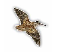 AMA SHOP Adhesivo contorneado con diseño de becada en vuelo Mod.2 | Apto para casco de coche moto | Calcomanía | Pasión Caza