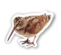 AMA SHOP Adhesivo contorneado pájaro becaccia mod12| apto para casco coche moto | Calcomanía | Pasión caza