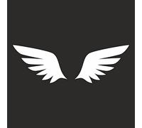 AMA SHOP Adhesivo de PVC preespaciado alas color blanco mod.1 | Pegatinas para coche | Pegatinas para casco, moto, caravana | Auto tuning