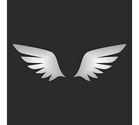 AMA SHOP Adhesivo de PVC preespaciado alas color plata mod.1 | Pegatinas para coche | Pegatinas para casco, moto, caravana, coche tuning| portátil, PC