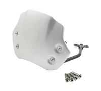 Amagogo Parabrisas de Motocicleta de Repuesto, Resistente y Profesional, Deflector de Viento para Motocicleta R Nine T Pure, Plata