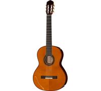 Amalio Burguet Fnegra DV Spruce Flamenco w/Ca