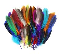 AMANDELIZABE 55 plumas coloridas para manualidades, plumas de pato naturales, plumas suaves para tocado, decoración para pendientes, volantes, manualidades escolares