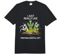 Amante de la Mantis Religiosa Niños Insectos Niños Mantis Rezando Comfort Colors Adult Heavyweight T-Shirt