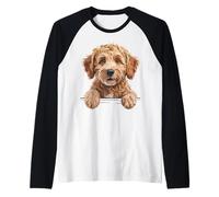 Amante de los Perros Goldendoodle, Divertido, Que mira a los Perros Golden Doodle Camiseta Manga Raglan