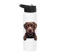 Amante del divertido cachorro de labrador con bolsillo que se asoma de Chocolate Lab Stainless Steel Insulated Water Bottle