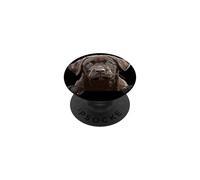 Amante del Laboratorio de Chocolate Brown Labrador Retriever Puppy Lover PopSockets PopGrip Adhesivo