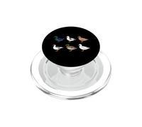Amante del Pato Agua Pájaro Cría Hombres Agricultor Patos PopSockets PopGrip para MagSafe