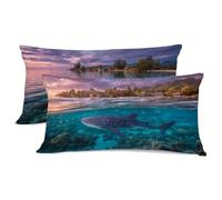 Amar Funda Almohada Blanco Fundas Almohadas Pack 2 Protector Almohadas Cierre con Cremallera Funda Cojin Pack 2 Almohada Cervicales y Cuello, per Decoracion Aire Libre Primavera bz-798