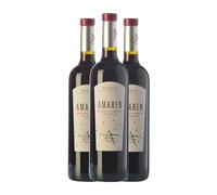 Amaren Rioja Crianza 75 cl Vino tinto (Caja de 3 Botellas de 75 cl)