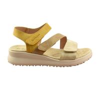 amarpies - Sandalia de Planta Acolchada Muy cómoda y Cierre Adhesivo 372038 Sintético Mujer Color: Combi Mostaza Talla: 39