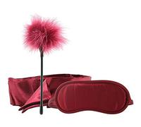 Amarres marca Sportsheets S&M Enchanted Starter Kit